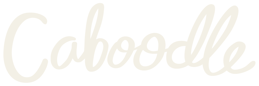 Caboodle Business Support Ltd